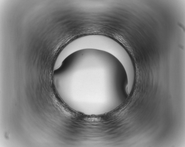 X0000099400449200805291213