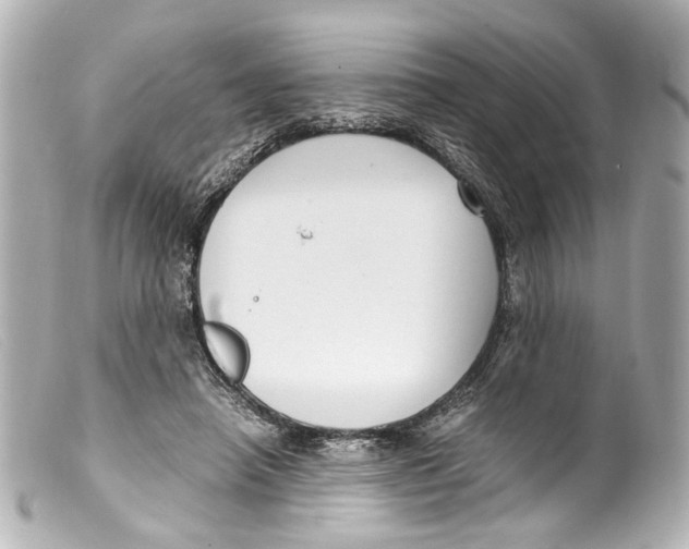 X0000099400450200805291213