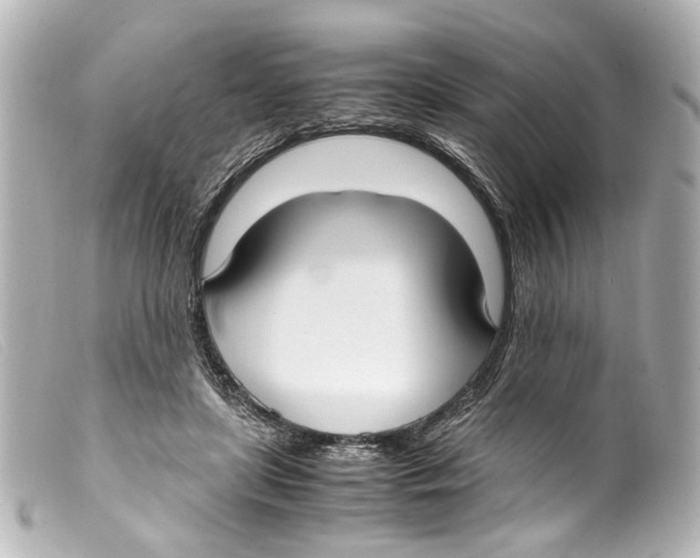 X0000099400451200805291213