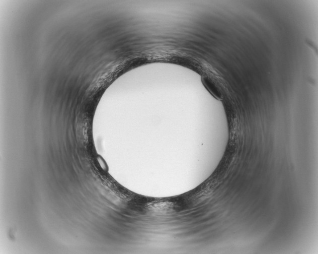 X0000099400452200805291213