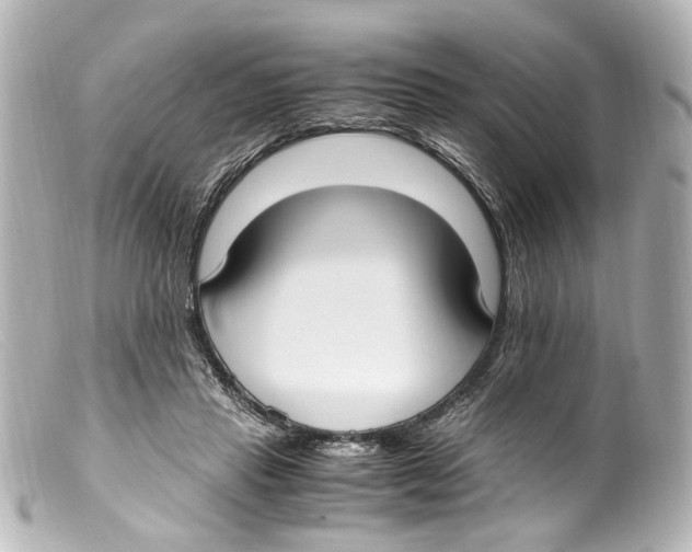 X0000099400453200805291213