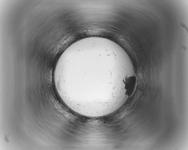 X0000099400454200805291213