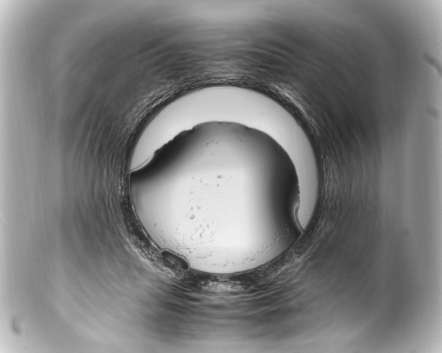 X0000099400455200805291213