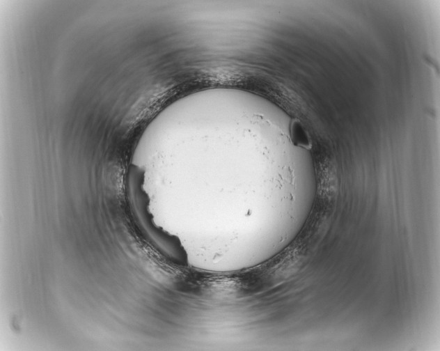 X0000099400456200805291213