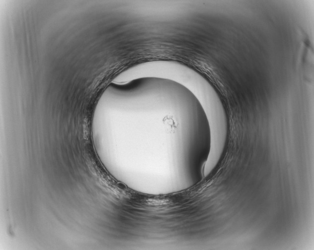 X0000099400457200805291213