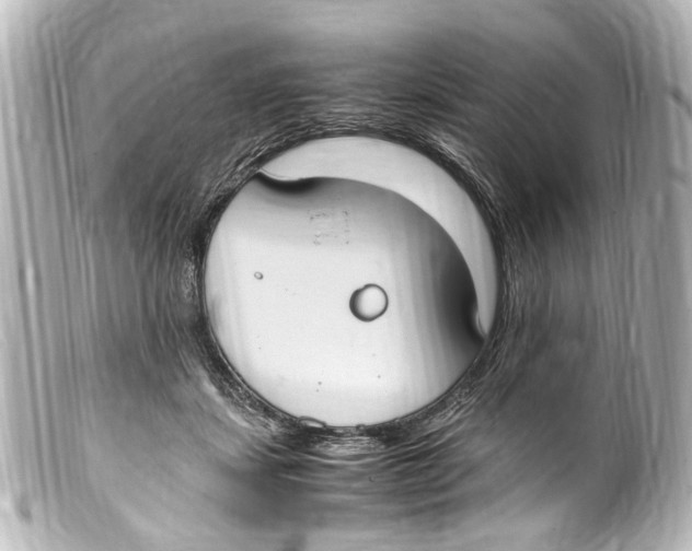 X0000099400459200805291213