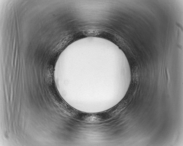 X0000099400460200805291213