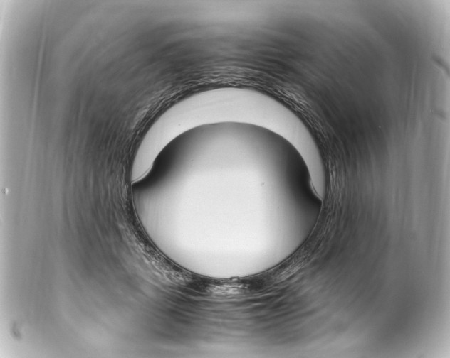 X0000099400461200805291213