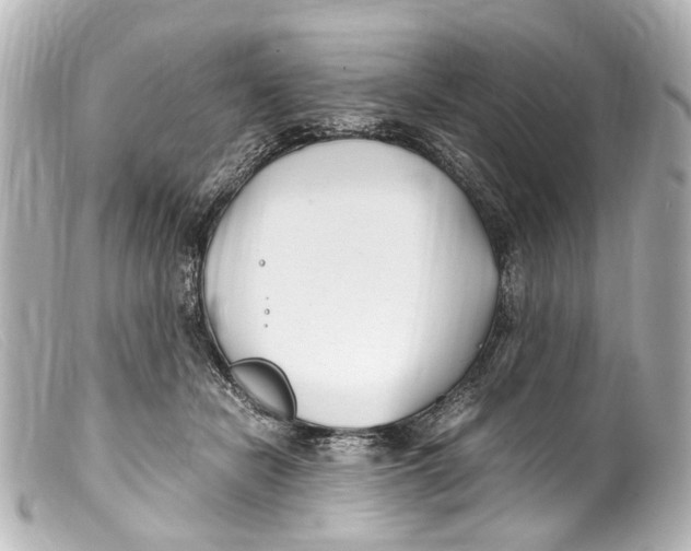 X0000099400462200805291213