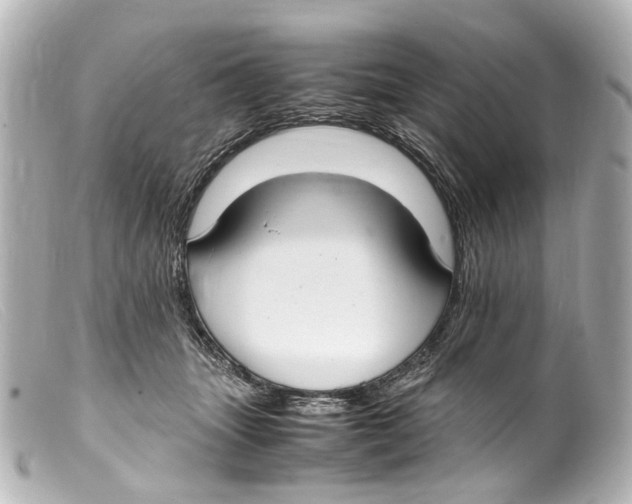 X0000099400463200805291213