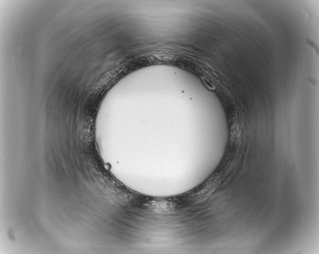 X0000099400464200805291213