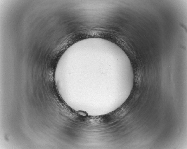 X0000099400466200805291213