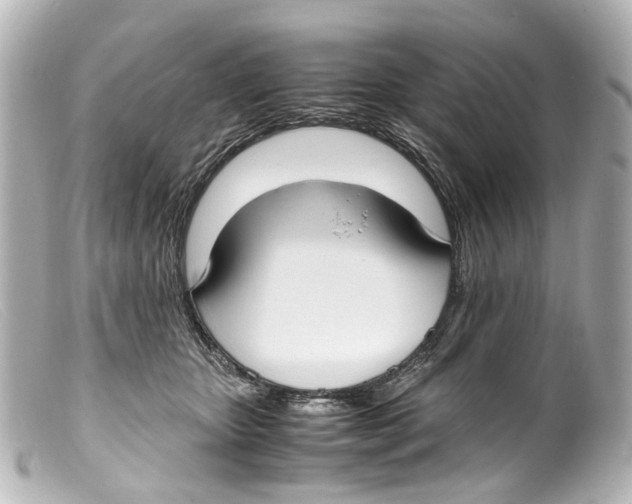 X0000099400467200805291213