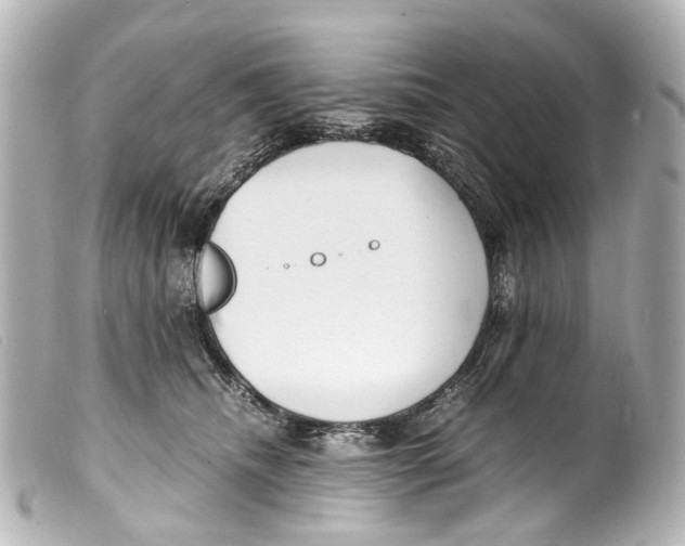 X0000099400468200805291213