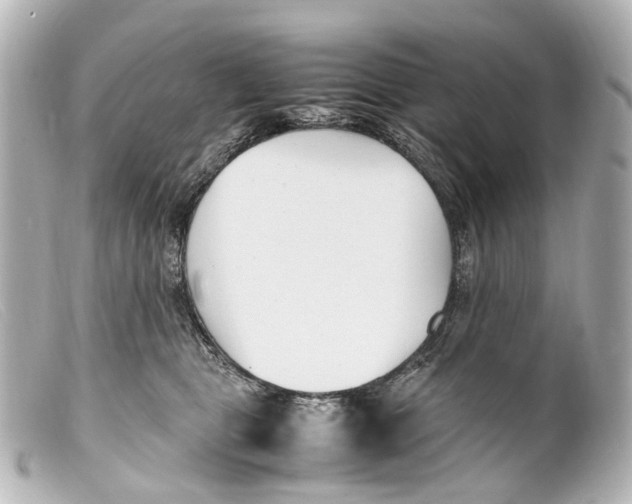 X0000099400469200805291213