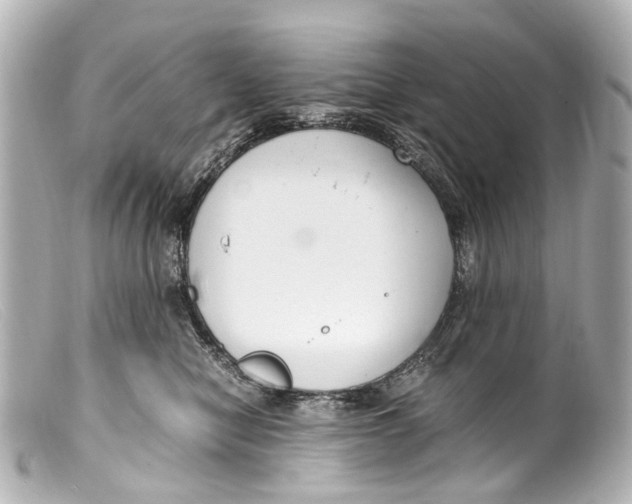 X0000099400470200805291213