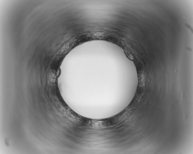 X0000099400472200805291214