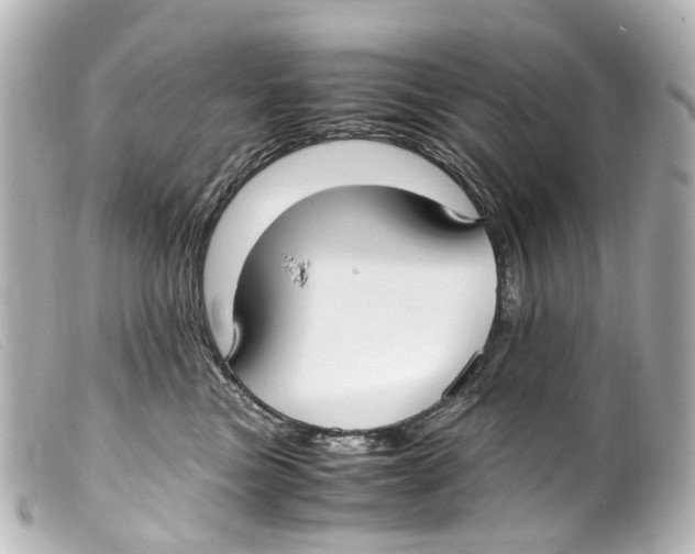 X0000099400473200805291214