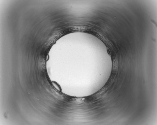 X0000099400474200805291214