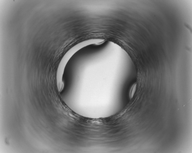 X0000099400475200805291214