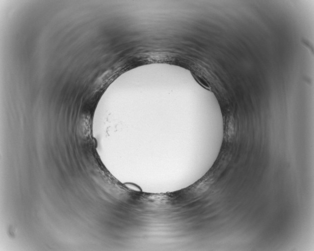 X0000099400478200805291214