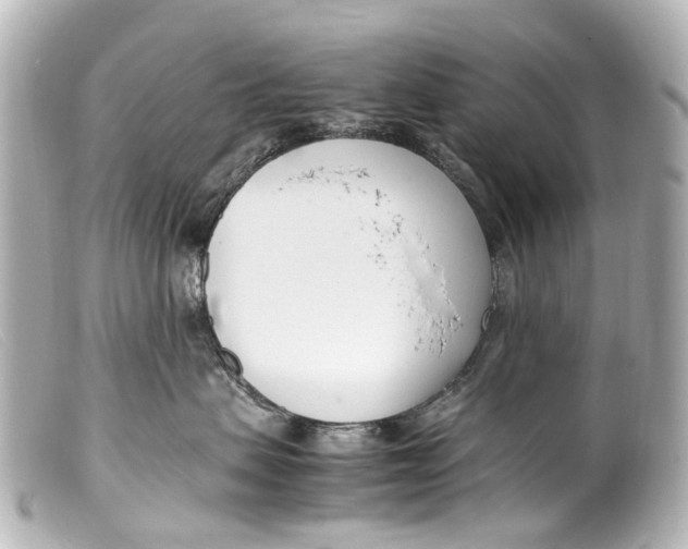 X0000099400479200805291214