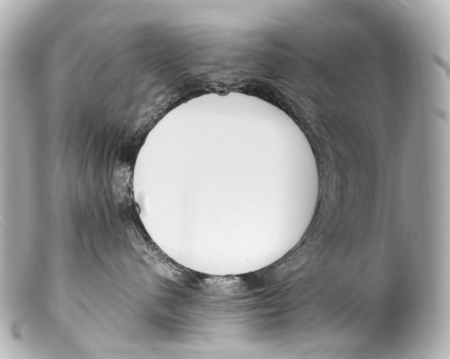 X0000099400480200805291214