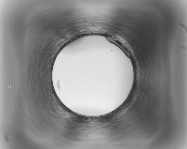 X0000099400481200805291213