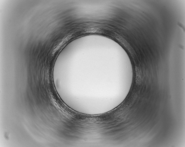 X0000099400482200805291213