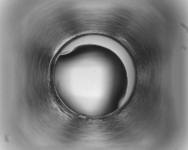 X0000099400484200805291213