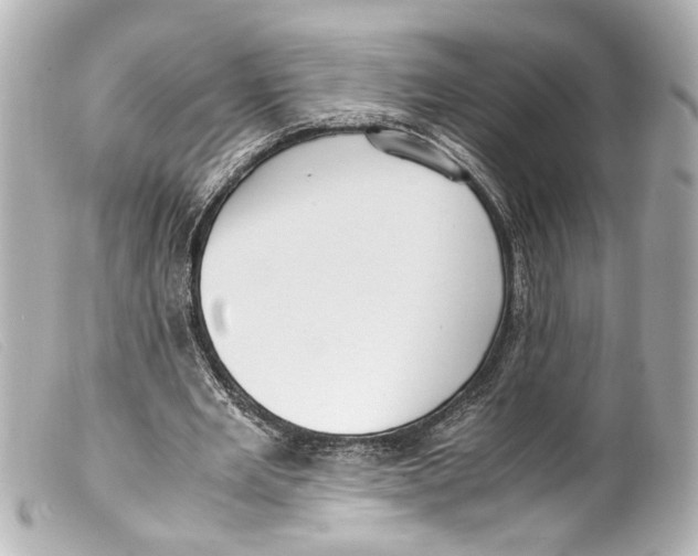 X0000099400485200805291213