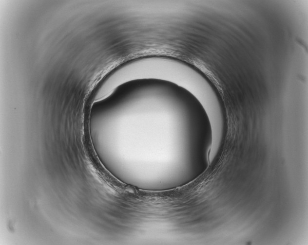 X0000099400486200805291213