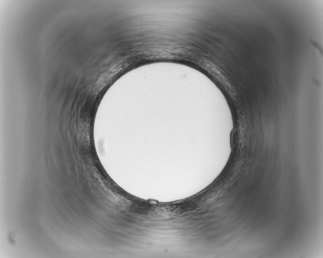 X0000099400489200805291213