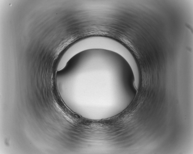 X0000099400490200805291213