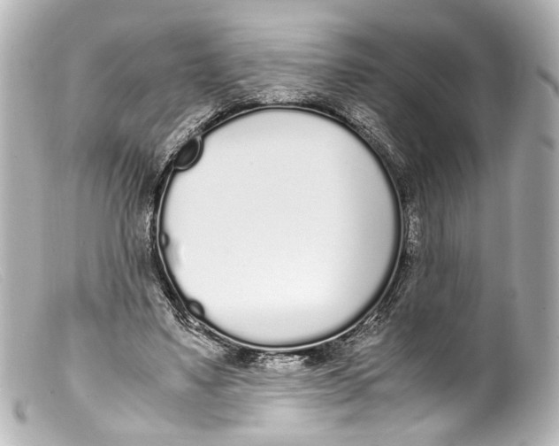 X0000099400491200805291213