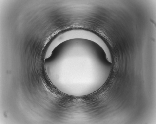 X0000099400492200805291213