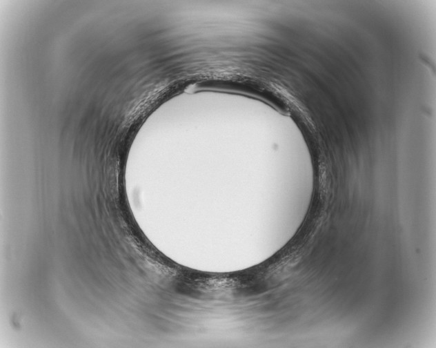 X0000099400493200805291213