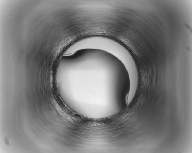 X0000099400494200805291213