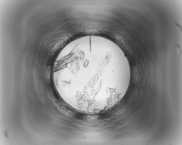 X0000099400495200805291213