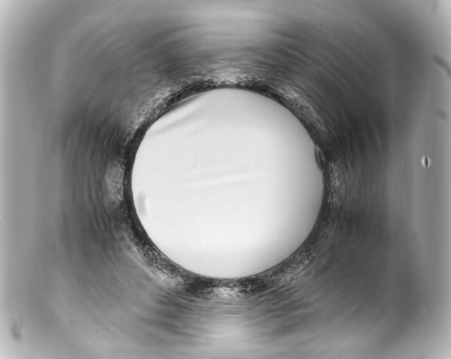 X0000099400496200805291213