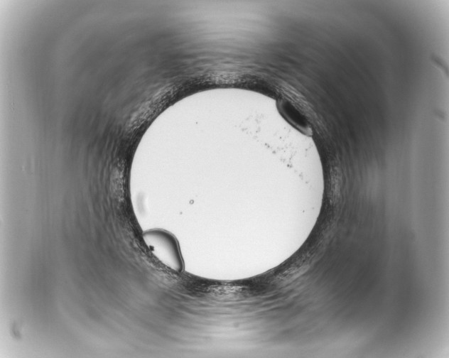 X0000099400497200805291213