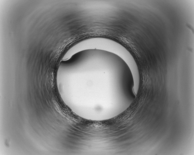 X0000099400498200805291213