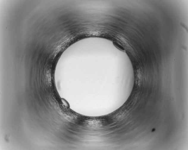 X0000099400500200805291213