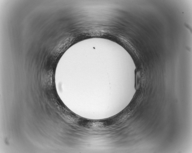 X0000099400501200805291213