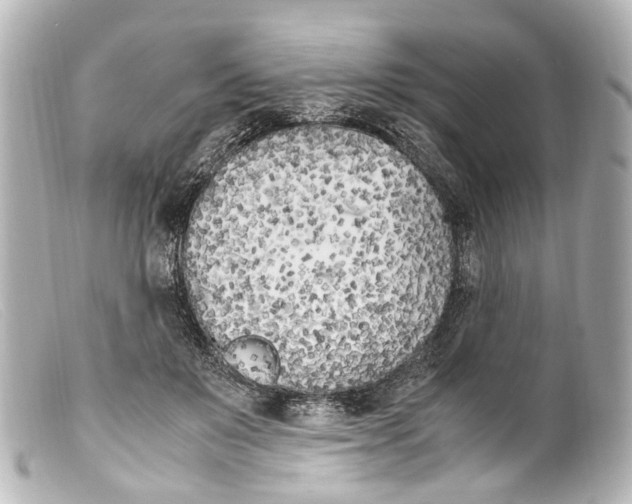 X0000099400503200805291213