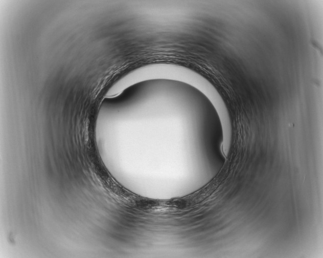 X0000099400504200805291213