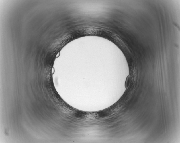 X0000099400505200805291213