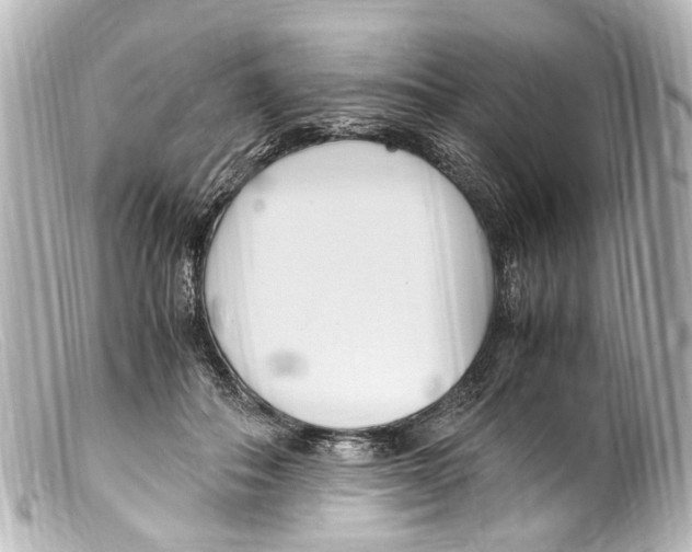 X0000099400506200805291213