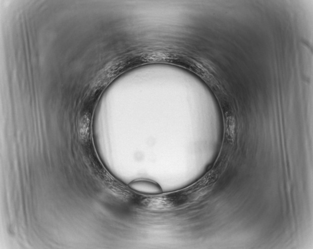 X0000099400507200805291213