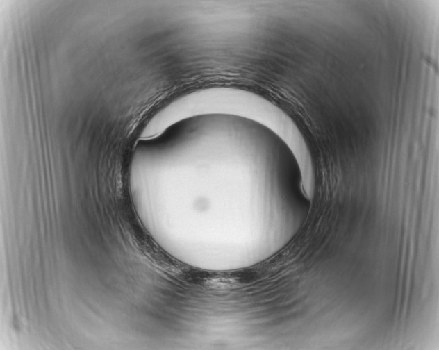 X0000099400508200805291213